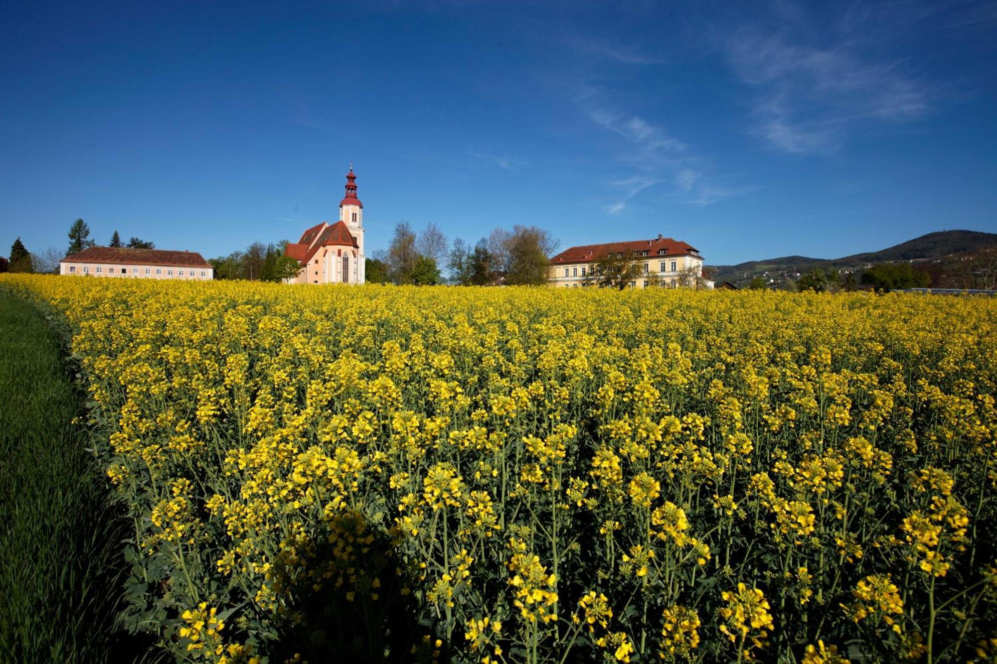 Gasthof Pack "Zur Lebing Au" Hartberg Εξωτερικό φωτογραφία